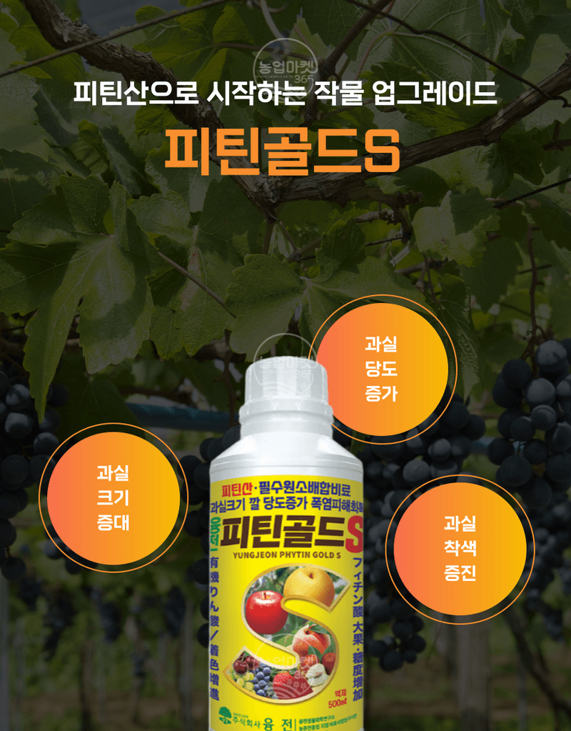 농업마켓365님의 장터 판매 상품 [융전 피틴골드S 액제 1L 피틴산 쌀눈추출물 비대제 당도제 착색제 식물영양제 비료] 첨부 사진