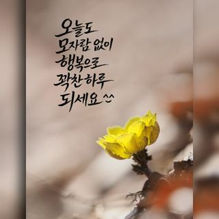 SOUL님의 자유주제 · 자유게시판 작성글 사진