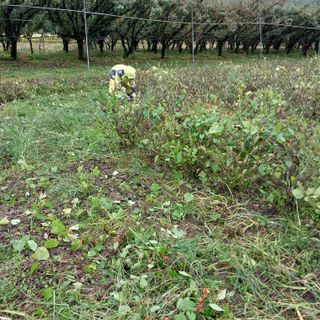 박수연님의 작성글 사진