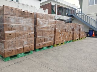 한농농약종묘사님의 감자·자유게시판 작성글 사진