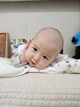 팜모닝 자유주제·자유게시판 게시글 이미지