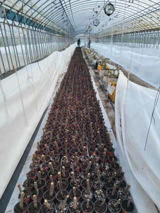 오아성님의 작성글 사진