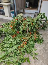 황석중님의 자유주제·자유게시판 작성글 사진