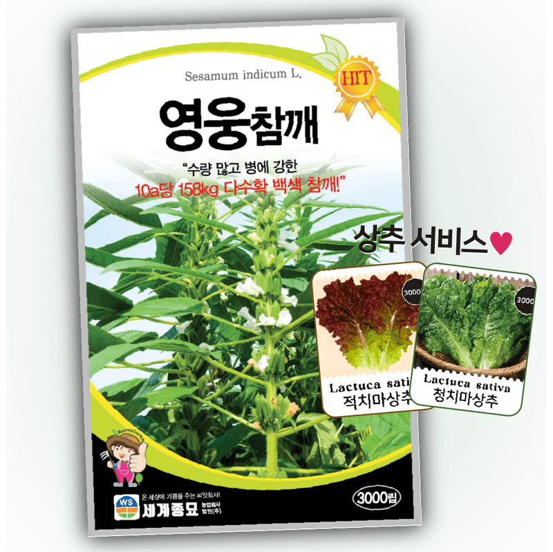 장터 상품 [[배송비1500] 영웅참깨 3000립 펠렛코팅 영웅참깨 씨앗 종자 씨] 썸네일