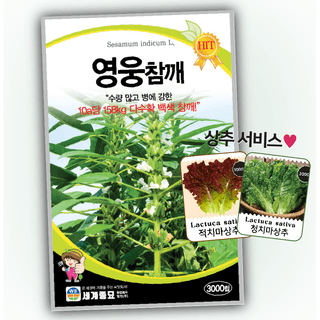 주주씨앗님의 작성글 사진