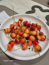 황석중님의 자유주제·자유게시판 작성글 사진