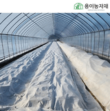 팜모닝 · 게시글 이미지