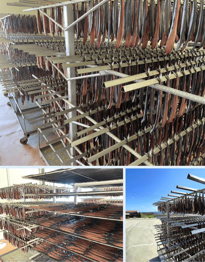 과일팩토리님의 장터 판매 상품 [해풍에 말린 포항 구룡포 덕장 직송 과메기 반건조 청어·꽁치] 첨부 사진