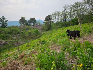 대학로님의 자유주제·자유게시판 작성글 사진