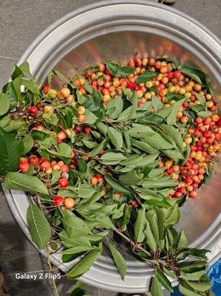 황석중님의 자유주제 · 자유게시판 작성글 사진