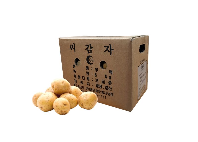 한농농약종묘사님의 장터 판매 상품 [[씨감자] 5kg 보급종 수미.두백] 첨부 사진