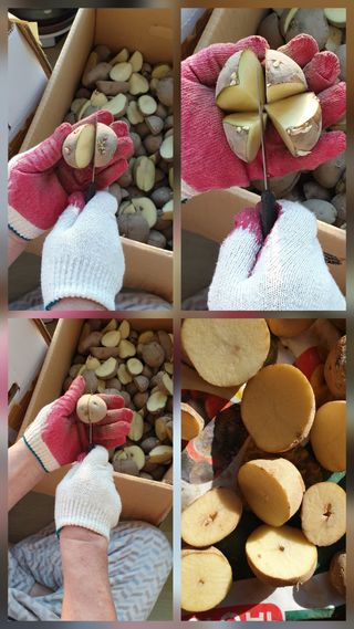 황석중님의 자유주제·자유게시판 작성글 사진