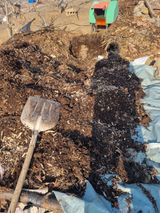 팜모닝 자유주제·자유게시판 게시글 이미지