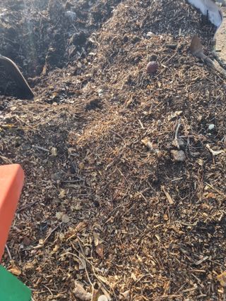 김용대님의 자유주제 · 자유게시판 작성글 사진