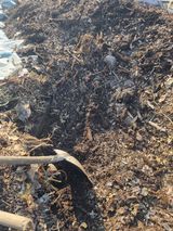 김용대님의 자유주제·자유게시판 작성글 사진