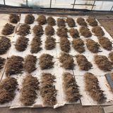 팜모닝 자유주제·자유게시판 게시글 이미지