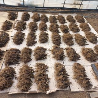 황덕순 님의 자유주제 · 자유게시판 작성글 사진