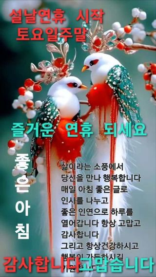 최재만님의 자유주제 · 자유게시판 작성글 사진