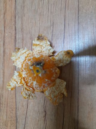 김영례님의 자유주제 · 자유게시판 작성글 사진