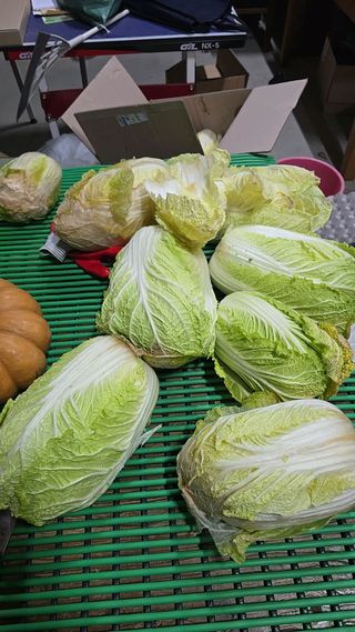 소병찬님의 자유주제 · 자유게시판 작성글 사진