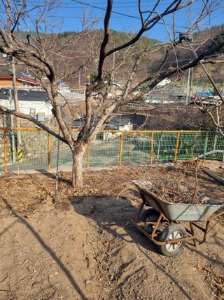 김용대님의 자유주제 · 자유게시판 작성글 사진