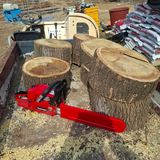 오영도님의 자유주제·자유게시판 작성글 사진