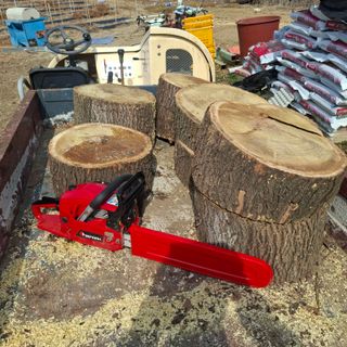 오영도님의 자유주제 · 자유게시판 작성글 사진