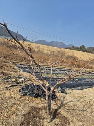 김영숙님의 자유주제 · 사진전 작성글 사진