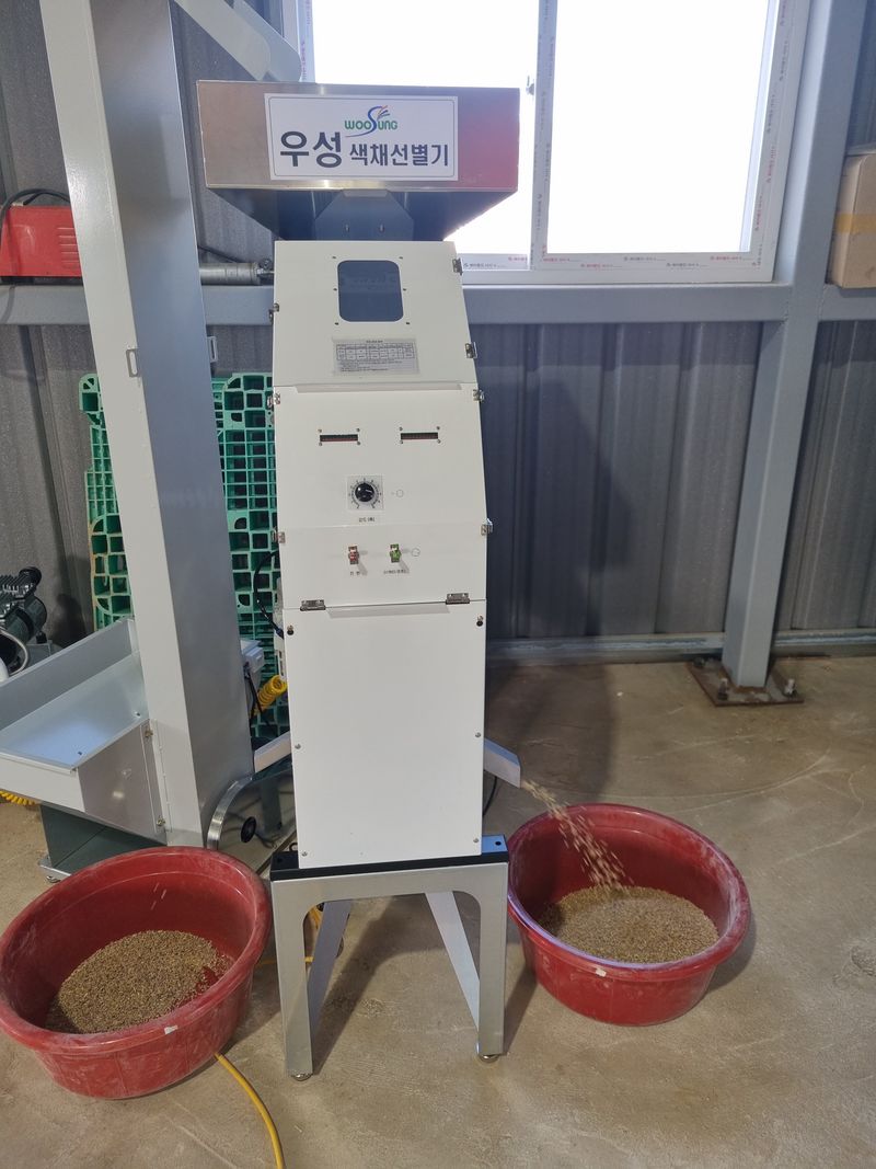 장준석님의 장터 판매 상품 [파로(신안1004파로)1kg] 첨부 사진