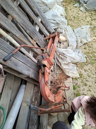 김중언님의 작성글 사진