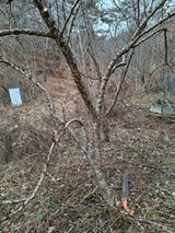 자연같이님의 자유주제·자유게시판 작성글 사진