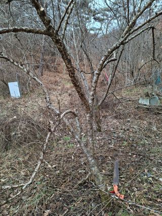 자연같이님의 자유주제 · 자유게시판 작성글 사진