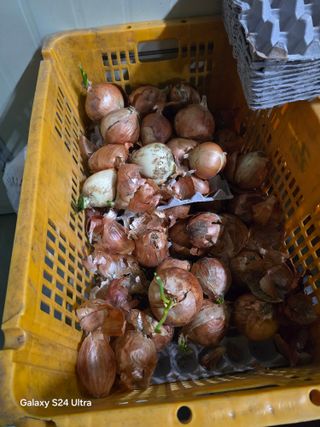 소병찬님의 자유주제 · 자유게시판 작성글 사진