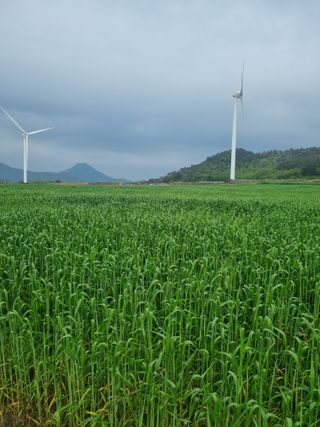 장준석님의 작성글 사진