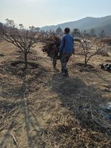 팜모닝 자유주제·사진전 게시글 이미지