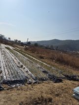 김영숙님의 자유주제·사진전 작성글 사진