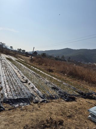 김영숙님의 자유주제 · 사진전 작성글 사진