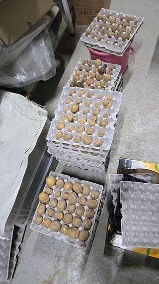 소병찬님의 자유주제 · 자유게시판 작성글 사진