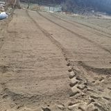 오영도님의 자유주제·자유게시판 작성글 사진