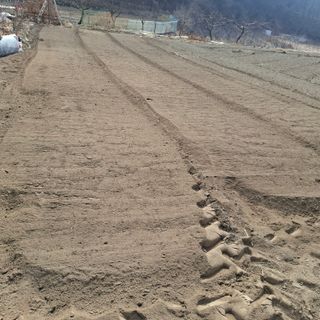 오영도님의 자유주제 · 자유게시판 작성글 사진