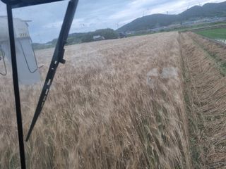 장준석님의 작성글 사진