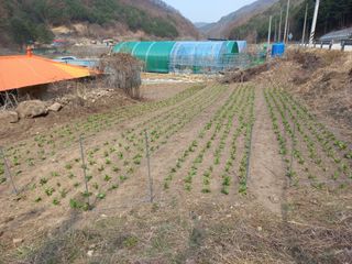 황덕순 님의 자유주제 · 자유게시판 작성글 사진