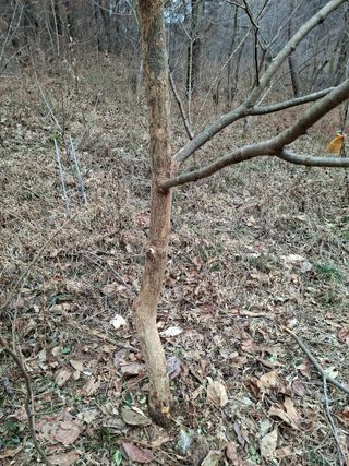 자연같이님의 자유주제·자유게시판 작성글 사진