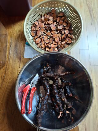 자연같이님의 자유주제 · 자유게시판 작성글 사진