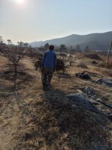 김영숙님의 자유주제·사진전 작성글 사진