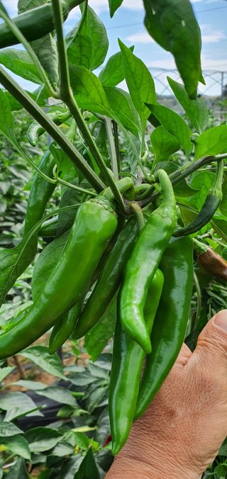 하얀그림자님의 자유주제 · 자유게시판 작성글 사진