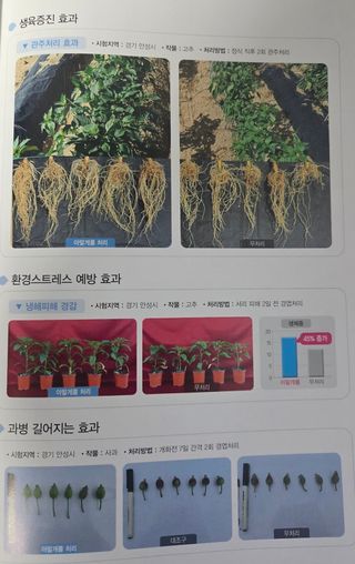 대산농사대장님의 자유주제 · 자유게시판 작성글 사진