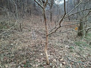 자연같이님의 자유주제 · 자유게시판 작성글 사진