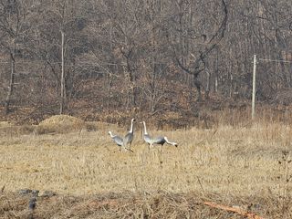 류선영님의 자유주제 · 자유게시판 작성글 사진