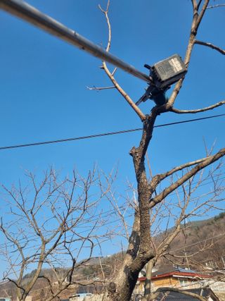 김용대님의 자유주제 · 자유게시판 작성글 사진